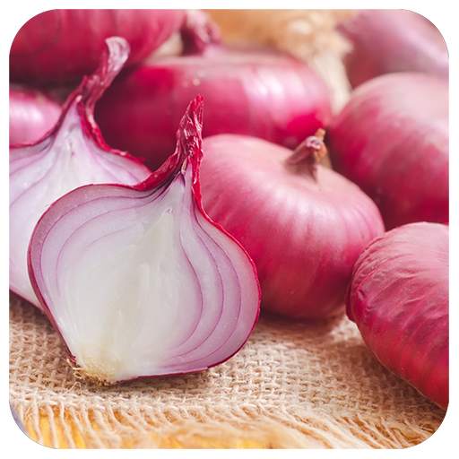 Health Benefits Of Onion 2.0
