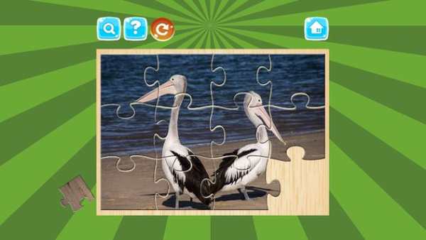 Birds Jigsaw Puzzles Game screenshot 5