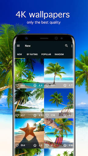 Tropical Wallpapers 4K screenshot 1