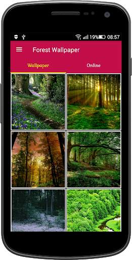 Forest Wallpaper screenshot 1