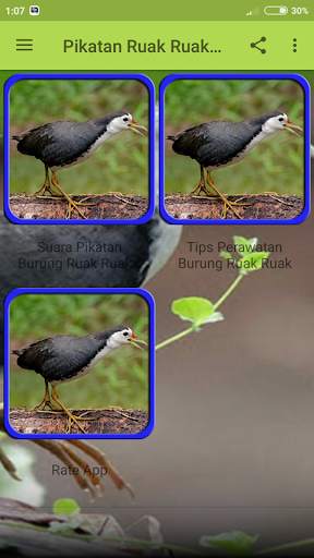 Pikatan Ruak Ruak Mp3 Terbaru Offline screenshot 3
