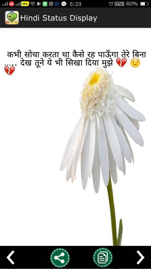 Hindi Status 2020 हिंदी स्टेटस screenshot 8