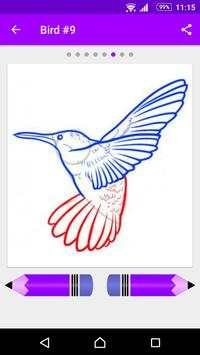 How to Draw Birds screenshot 7