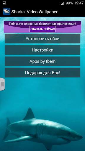 Акулы. Видео Обои скриншот 6