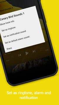 Canary Bird Sounds screenshot 3