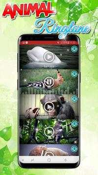 Animals Sound Ringtones Real Free screenshot 2