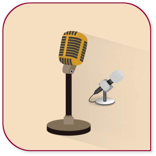 Voice Changer 1.1