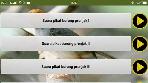 Suara pikat burung prenjak screenshot 4
