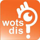Florida Travel Guide Wotsdis logo