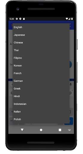 Travel Language Translation - Speaking screenshot 3
