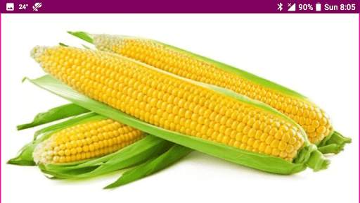 Learn Marathi Fruits and Vegetables Names скриншот 18