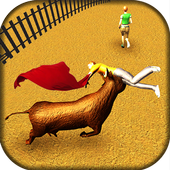 Bull Fighting icon