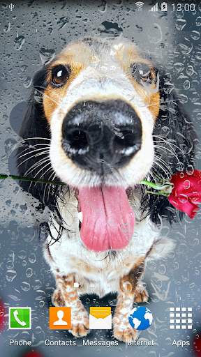 Animals Cute Live Wallpaper screenshot 3