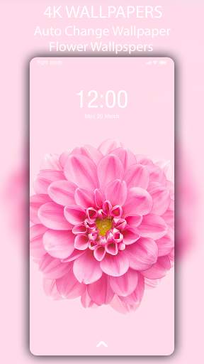 🌺 Flower Wallpaper - Auto Change Wallpaper screenshot 8