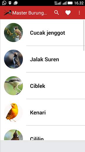 Master Suara Burung Kasar screenshot 1