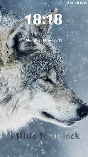 Wolf Pattern Lock Screen 1 تصوير الشاشة