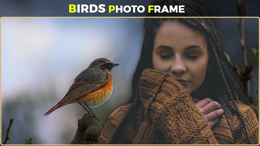 Birds Photo Frames स्क्रीनशॉट 1