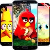 ANGRY BIRD HD WALLPAPER  ✔ NEW ✔ BIRDS
