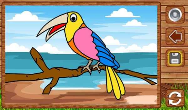 Birds Coloring screenshot 14