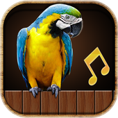 Birds sounds 2018 أيقونة