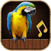 Birds sounds 2018 1.1