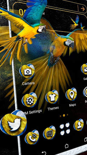 Macaw Parrot Launcher Theme screenshot 1