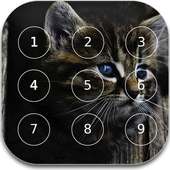 Cat password Lock Screen
