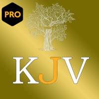 (PRO) King James Audio Bible logo