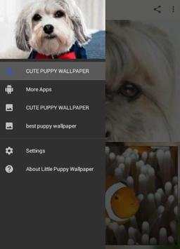 Litle Puppy Wallpaper screenshot 2