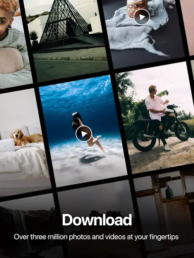 Pexels: HD  videos & photos screenshot 6