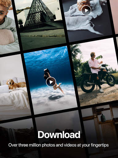Pexels: HD  videos & photos screenshot 6