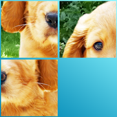 animal tile puzzle game icon