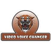 Video Voice Changer icon