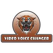Video Voice Changer 1.0
