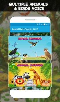 Animal Sounds App: Beautiful Birds Sounds screenshot 1