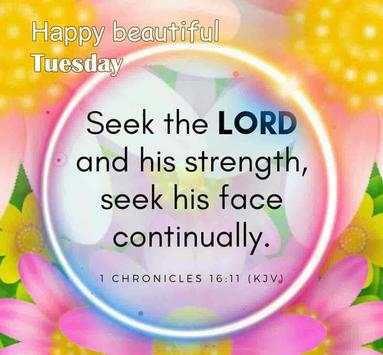 Daily Blessings Bible Quotes screenshot 7