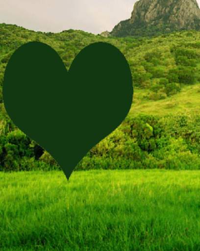 Nature Photo Frames HD screenshot 4