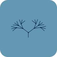 Node Application on 9Apps