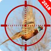Birds Hunting : Real Birds Shooting 3D 1.0.2