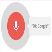 Ok Google test 0.1.0