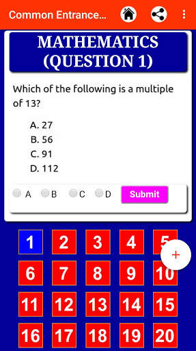 National Common Entrance Exam Practice (Offline) screenshot 4