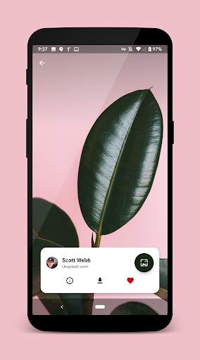 Walpy - Wallpapers screenshot 3