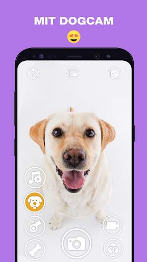 DogCam - Dog Selfie Filters and Camera screenshot 6