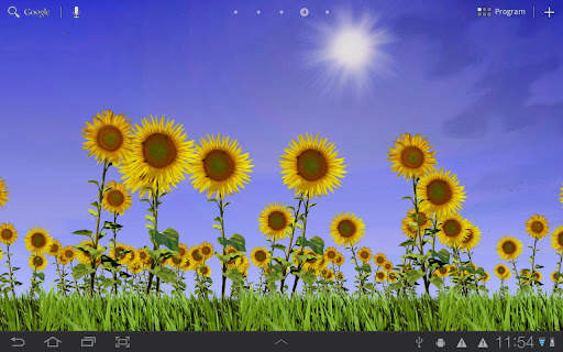 Sunflowers Free Live Wallaper screenshot 5