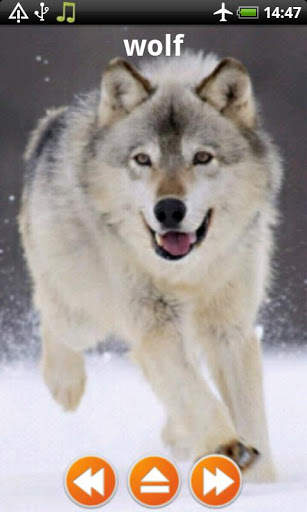 Animal Sounds Free Offline screenshot 5