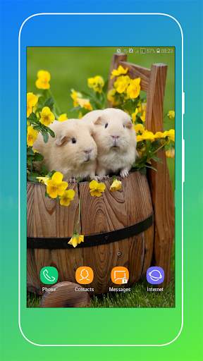 Guinea Pig Wallpaper screenshot 10