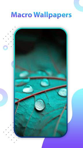 4K Wallpaper and Live Backgrounds - AndroWalls screenshot 6