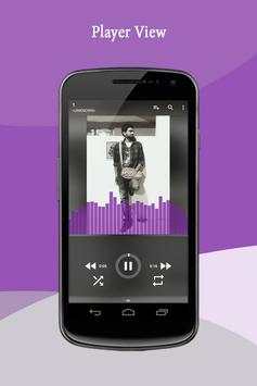 Music Player 1 تصوير الشاشة