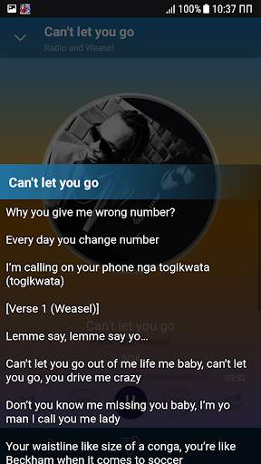 Radio and Weasel songs offline screenshot 1