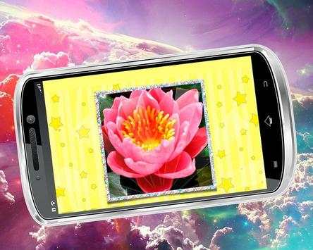 Puzzle Birds स्क्रीनशॉट 4